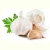 Import top quality fresh garlic for wholesale cheap price from South Africa