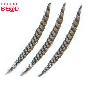 top quality pheasant tail feather