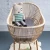 Import Unique Rattan Baby Bed Wicker Cane Baby Crib from China