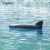 Import V307 2.4G Floating Simulation Shark Fin RC Boat Prank Outdoor Swimming Pool Toys from China