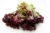 Import Vegetable F1 Organic leaf iceberg head hydroponic lettuce seeds from China