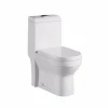 Washdown S-trap 250mm roughing-in Ceramic Toilet Floor Mount One-piece WC Toilet
