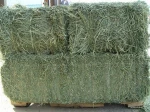 Wheat Hay, Barley, Timothy Hay Best Price/Alfalfa Hay Pellets cheap prices