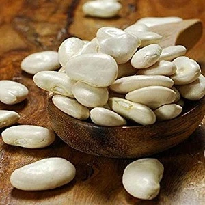 white lima Beans for export.