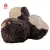 Import white truffle wild truffle from China