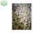 Import Wholesale 2020 new fresh garlic supplier normal white garlic from China