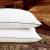 Import Wholesale China Best Quality Pillow Hotel Used Goose Down Pillow from China