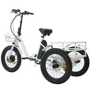 Wholesale Electric Bicycle BTN NEW-TRIKE Cargo Bike With Mid Motor China company Customization Ebike