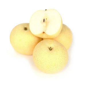 Wholesale Fresh Pear / Pear Fruit Price / Fresh Pear Fruit In Brazil