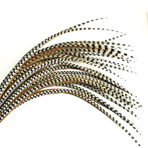 Wholesale Natural and Dyed 100-110cm Lady Amherst Pheasant Tail Feathers for Cheap