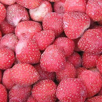 Wholesale  New Crop Frozen Strawberry IQF Strawberry Frozen Fruit Frozen best Strawberry Fruits