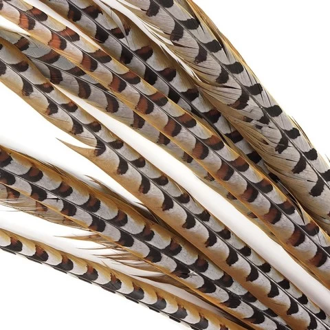 Wholesale Stock Selected Top Quality 110-120 cm Natural Ringneck Reeves Pheasant Tail Feathers