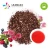 Import Wholesale Taiwan Bubble Tea Materials with Bag Packaging-Raspberry &amp; Strawberry Fruit Tea from Taiwan