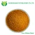 Import wholesale yellow maize corn gluten meal 60% protein from China