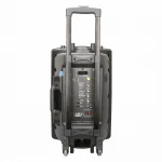 Wireless Portable Bluetooth Pa System Trolley Speaker With UHF Microphone,Rechargeable Battery,Remote Control