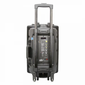Wireless Portable Bluetooth Pa System Trolley Speaker With UHF Microphone,Rechargeable Battery,Remote Control