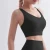 Import Wx1475 Women Plush Thickened Thermal Underwear Yoga Bra Running Shock Absorption Fitness Vest from China