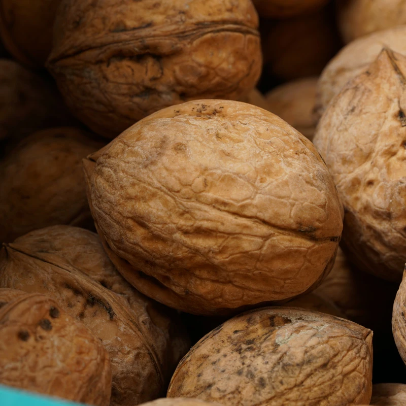 Xinjiang  crisp and good taste walnut nut snack food