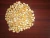 Import yellow maize animal feed from India