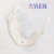 Import YIXIN/ Customizable lower jaw model with tooth for education training,dental tooth model from China
