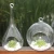 Import Z765 Hanging Glass Flowers Vase Creative Succulent Air Plant Display Terrarium Decorative Clear Glass vase from China