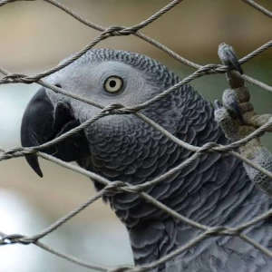 zoo animal x-tend mesh stainless steel rope mesh