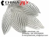 ZPDECOR Wholesale Size from 20 to 25cm Good Quality Natural Silver Pheasant Feathers Plumage