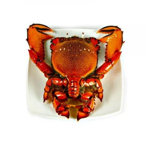 Frozen spanner crab For sale