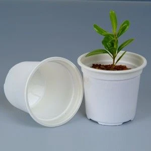 Fully Bio-Based Degradable Pots