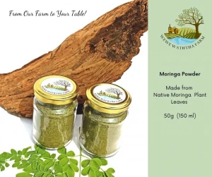 Best Quality Organic Moringa Powder in Wholesale