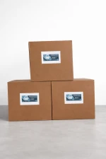 Disposable 3 Ply Earloop Face Masks Bulk Wholesale for Personal Protection