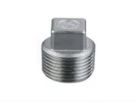 Stainless steel Plug