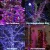 Import 24V EU US UK AU Plug Outdoor Indoor Low Voltage LED String Lights Green Christmas Decorations Fairy Lights from China