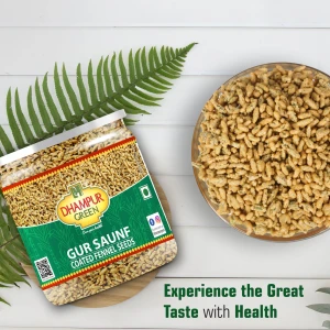 Dhampur Green Gur Saunf (jaggery coated fennel seeds)