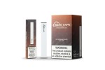 Disposable electronic cigarette