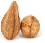 FRESH COCONUT
