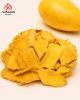 Natural Soft Dried Mango Fruit for Healthy Eating