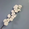 New Trend DIY Cotton Bouquet Valentine's Gift Indoor Decoration Dried Twelve Heads Cotton Flower