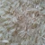 Import PARMAL SELLA RICE from India