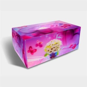3D Lenticular Packaging Box