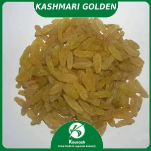 Kashmari Golden