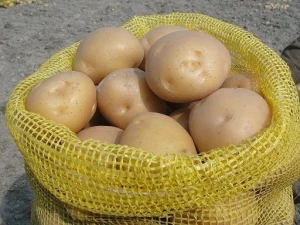 Fresh Potato in best rates
