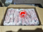Frozen Loligo Squid