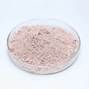 Phloretin powder