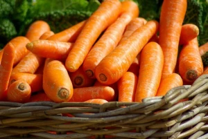 New Crop Fresh Organic Vegetables Wholesale Carrots