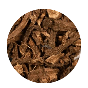 Dry Coleus Roots