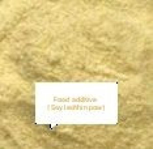 Food additive (Soy lecithin powder)