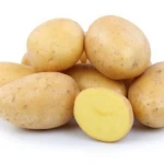 Fresh Potatoes High Quality Potatoes