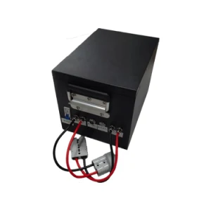 Buy 24v 60ah Rechargeable Lithium Batteries With Smart Bms For Agv&amr ...