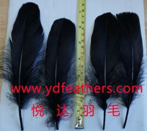 Dyed black Soft goose nagoire/parried goose nageoires